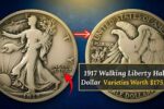 1917 Walking Liberty Half Dollar Value Guide Rare Coins Worth Up to Thousands